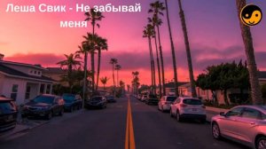 Леша Свик - Не забывай меня