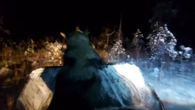 Бригадная охота на лося смотреть онлайн