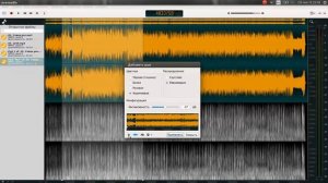 Основы работы в аудио-редакторе Ocenaudio