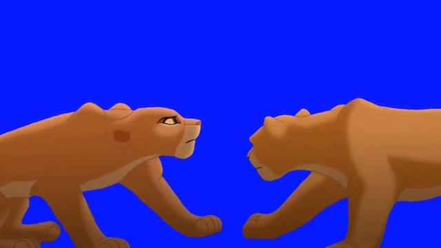 Blocking lionesses - Free masking смотреть онлайн