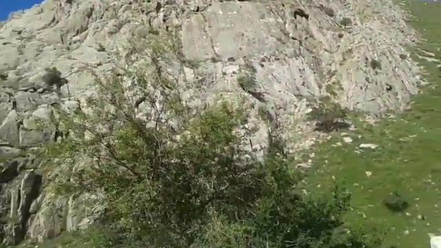 Navoiy, Nurota, Langar tog'lari смотреть онлайн