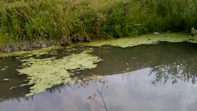 Рыбалка на платнике в Чебоксарах (Ишлеи) смотреть онлайн