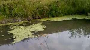 Рыбалка на платнике в Чебоксарах (Ишлеи)