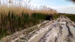 Багги с двигателем ока