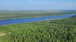 Тайга северного Урала. The Taiga of the Northern Urals