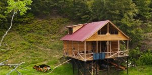 Побег на природу Создайте деревянный дом своей мечты в лесу - живите вне сети