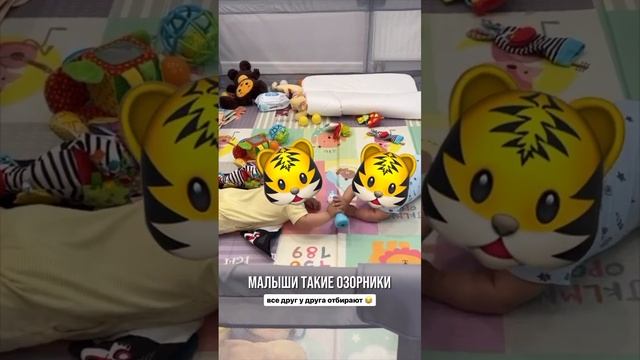 Юлия Ефременкова поделилась забавным видео с близнецами