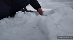 Налим на жерлицы.