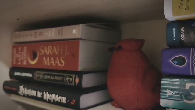 неделя со мной // много красивых и мало прочитанных книг #влог #книжныйвлог