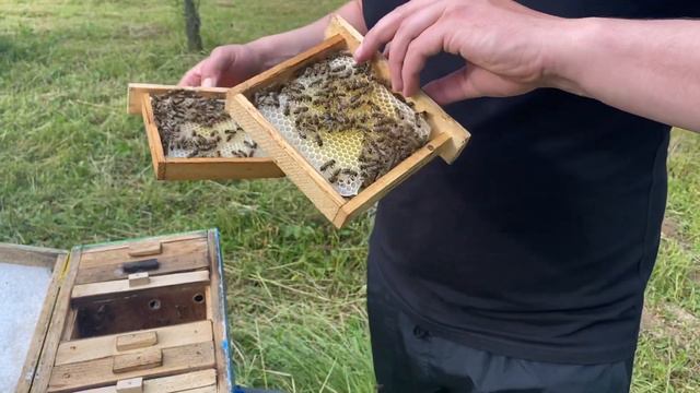 Результатом я доволен! смотреть онлайн