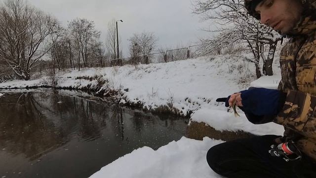 Наловил целую кучу рыбы на мормоспиннинг в этой городской микроречке. Ерши, окуни, бычки, плотва... смотреть онлайн