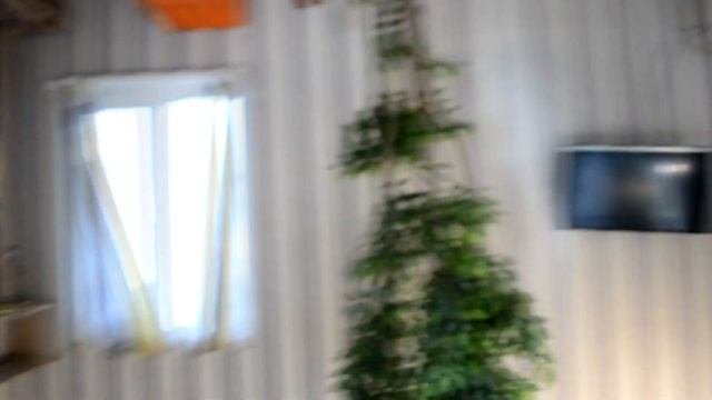 Дом перевёртыш. Дом вверх дном Переверни свой мир , #Воронеж
