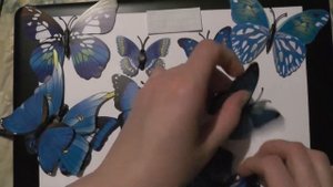 3D-бабочки, настенные наклейки на магнитах. 3D Butterfly Wall Stickers Art Decor -- Gearbest