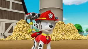 Patrulha Canina | O resgate da pipoca! | Nick Jr. em Português