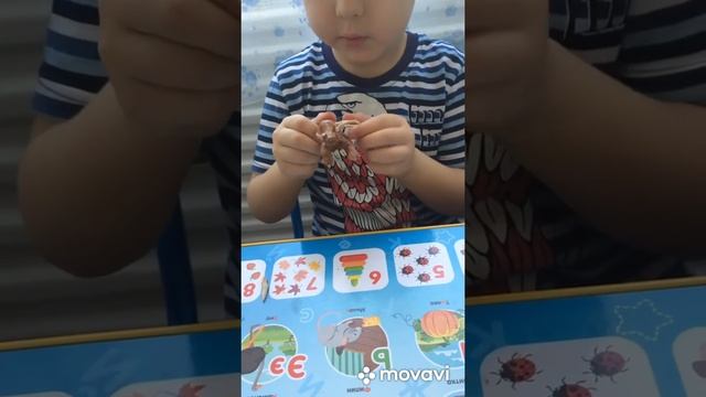 Лепим анкилозавра