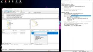 Добавить Cisco vIOS и Cisco IOU/IOL в EVE-NG