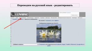 Создание анимации. Эффект отражение в воде