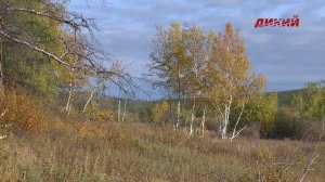 Якутия с Александром Борисовым. Эпизод 10.
