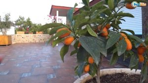 Мой Вечер в Отеле - АКВАГРИМ для Ярославы Дискотека для детей