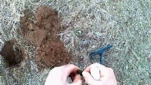 АКА БЕРКУТ-5 ( НАХОДКИ ЕСТЬ ВЕЗДЕ)