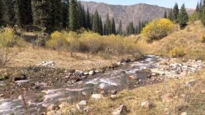 Природа в горах Казахстана. Где-то на плато Асы. Kazakhstan. Mountains. Nature