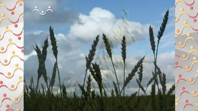 Шишкин Лес. Кухня. Овсяная каша смотреть онлайн