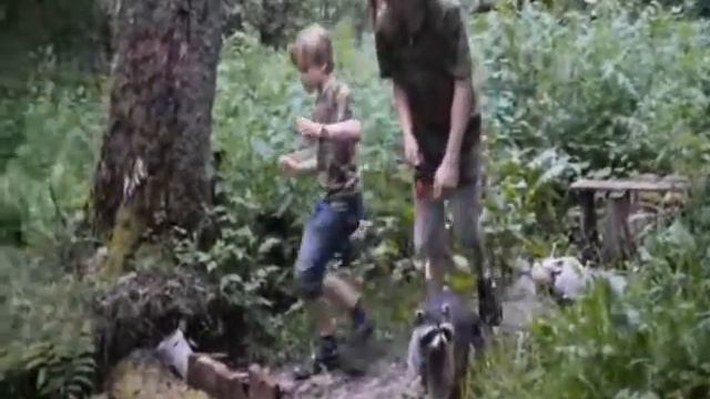 Прогулка с енотом июнь 2017 смотреть онлайн