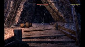 The Elder Scrolls Online: Gameplay Footage Leak