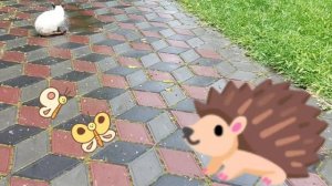 ЁЖИК.Детская песенка.Елена Жукова.(1 часть)