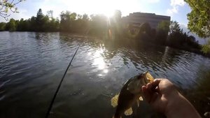 Abu Garcia Silver Max Review/Rating/Unboxing