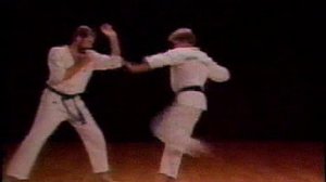 Ашихара Каратэ - базовая техника.