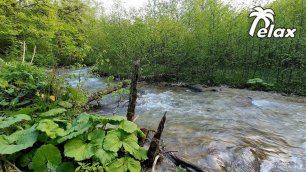 Healing Sounds of the Mountain River - Relieve Stress and Relax