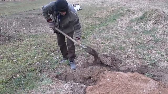 Дача/2020 апрель/Посадка крыжовника смотреть онлайн