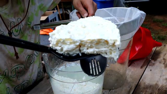 Let's Make Lactic Acid Bacteria [L.A.B] смотреть онлайн