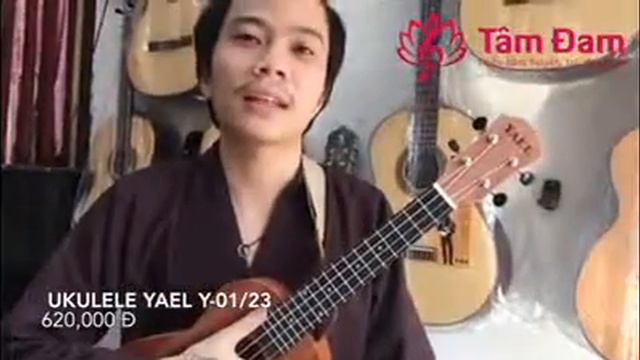 Guitar TÂM ĐAM thầy Vũ Trọng Long Test Ukulele YAEL Y-01/23 cho khách смотреть онлайн