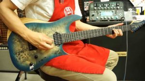 SCHECTER REAPER-6 - Satin Sky Burst [Clean]