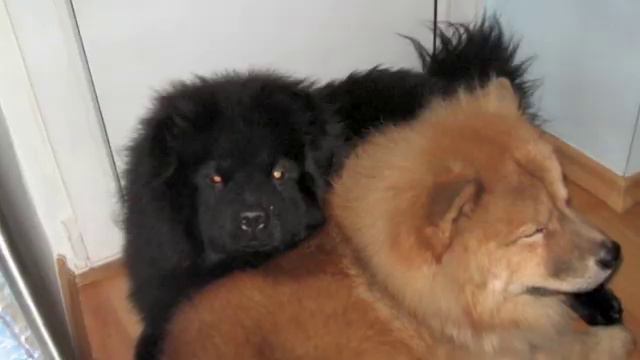 Danochka смотреть онлайн