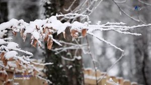 Goodbye Autumn, Welcome Winter