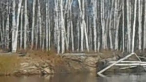 по реке Сым буксировка