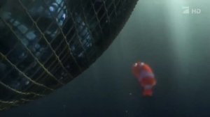 Видеофрагмент В по́исках Не́мо