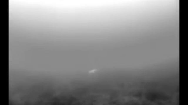 Ловля щуки зимой Анализ поведения хищника смотреть онлайн