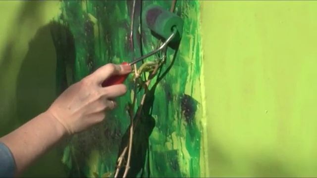 Как украсить бочку на даче смотреть онлайн