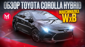 Обзор Toyota Corolla гибрид последнего поколения в максимальной комплектации WxB