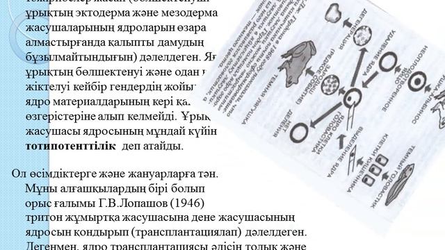 Ағзаларды клондау әдістері