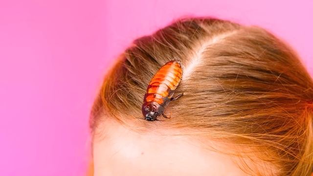 1000 загадочных кнопок и только одна тебя спасет Челлендж #2 от PaRaRa Challenge смотреть онлайн