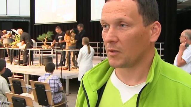 Уникальное искусство страны восходящего солнца