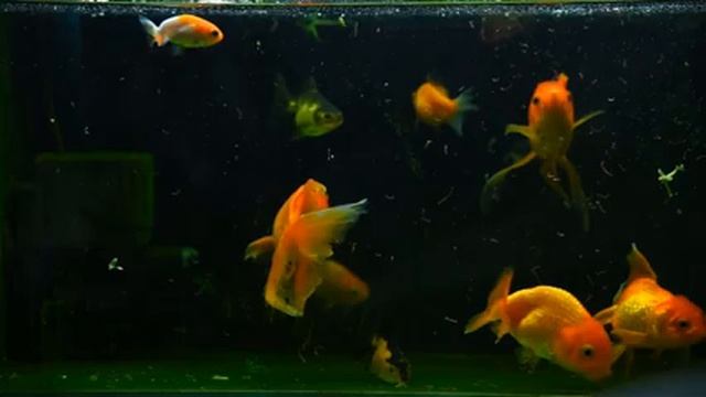 RELAX MUSIC 30 МИНУТ ОТДЫХА. Релаксация, восстановление энергии смотреть онлайн