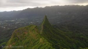 МЕДИТАЦИЯ | Достаток и благосостояние | Натали Леру