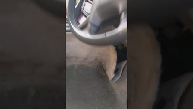 Тайота виндом 20 кузов как снять Обшивки смотреть онлайн