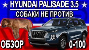 Hyundai Palisade  обзор, разгон. Собаки не против!